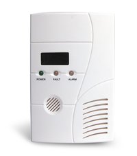 Standalone Gas Detector