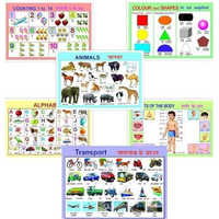 Educational Charts At Best Price From Manufacturers Suppliers Traders