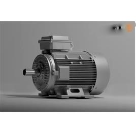 Hp Three Phase Electric Motor Voltage V At Best Price In