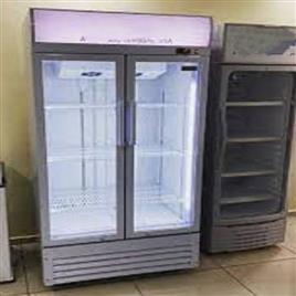 Celfrost Visi Cooler Fkg At Best Price In New Delhi Rd Cooling