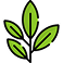 usp_product