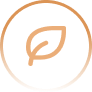 usp_product