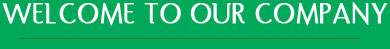 Welcome to Our Company