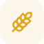 Grain Selection