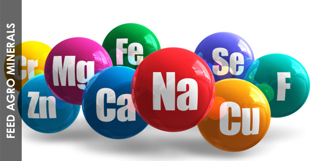 Jyoti Dye Chem Agency