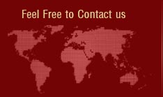 Feel Free to Contact Us Feel Free to Contact Us