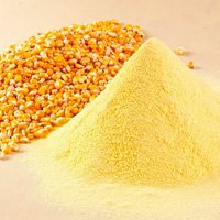 Animal Fodder & Feed Supplements