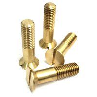 Brass Screws