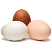 Eggs