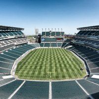 Financial Field