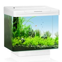 Aquarium Supplies