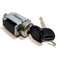Auto Ignition System