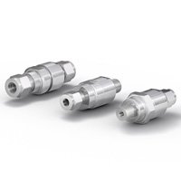 Automotive Valves