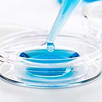 Bioanalytical Services
