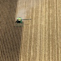 Commercial Field