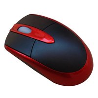 Computer Mouse