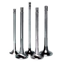Engine Valves