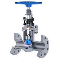 Globe Valves