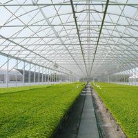 Greenhouse Supplies & Equipment