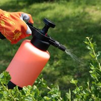 Insecticides