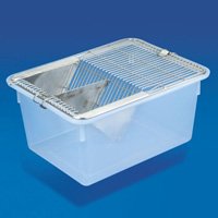 Laboratory Plasticware