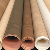 Leather Finishing Transfer Foils