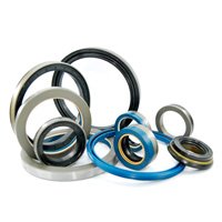 Oil Seals
