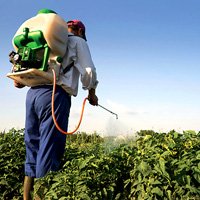 Pesticides