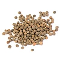 Plant Seeds