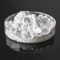 PVC Resins