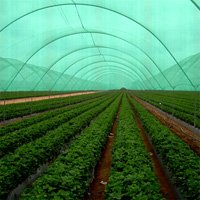 Shade Net