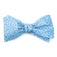 Ties & Bow Ties