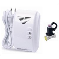 Vehicle Security System & Protection Devices