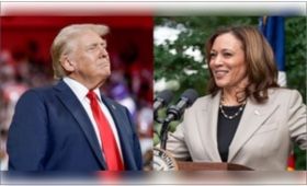 trump-harris