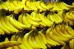 Banana agric THMB