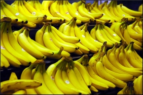Banana agric