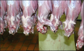 Slaughterhouse.9.jpg
