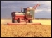 Farming.9.Thmb.jpg