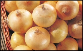 Onion.9.jpg