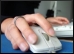 Net.Surfing.9.Thmb.jpg