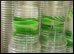 Bioplastic,9.thmb.jpg