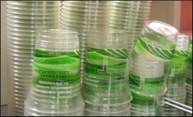 Bioplastic.9.jpg