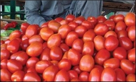 Tomato.9.jpg