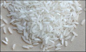 Rice.9.jpg