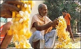 silk-reelers.jpg