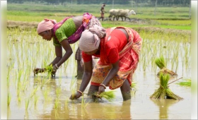 agri.jpg