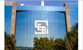 sebi3.jpg