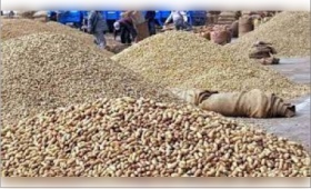 grain.jpg