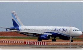 indigo.jpg