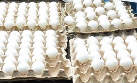 eggs.jpg